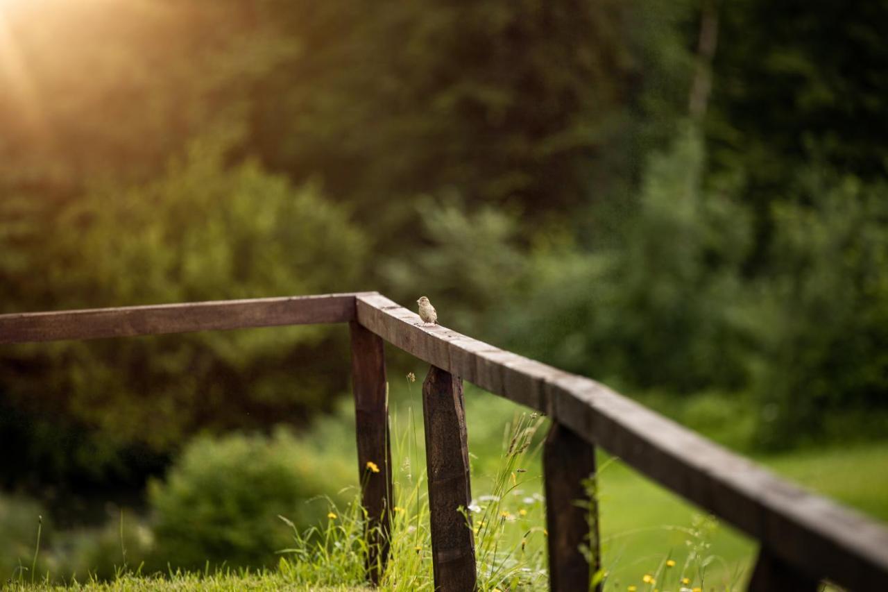 Ferienwohnungen Am Gablerhof บาดไรเฮนฮัล ภายนอก รูปภาพ