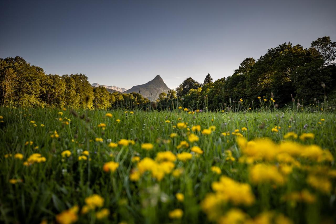 Ferienwohnungen Am Gablerhof บาดไรเฮนฮัล ภายนอก รูปภาพ